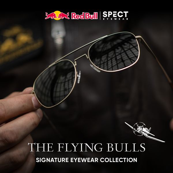 Red Bull Sunglasses LIGHTNING Smoke