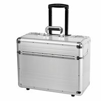 Pilot Case OMEGA