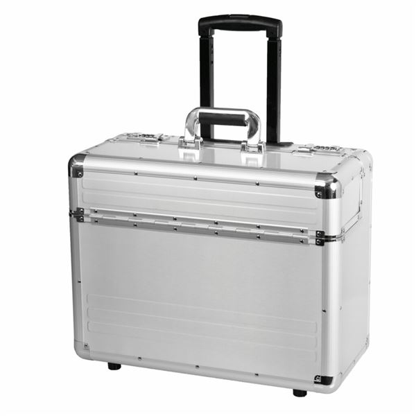 Pilot Case OMEGA