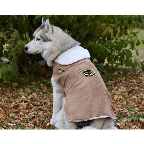 Dog Bomber Jacket, L