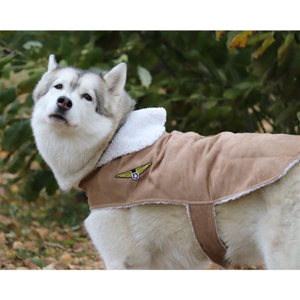 Dog Bomber Jacket, L