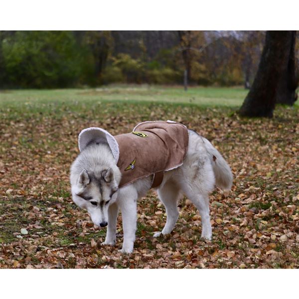 Dog Bomber Jacket, L