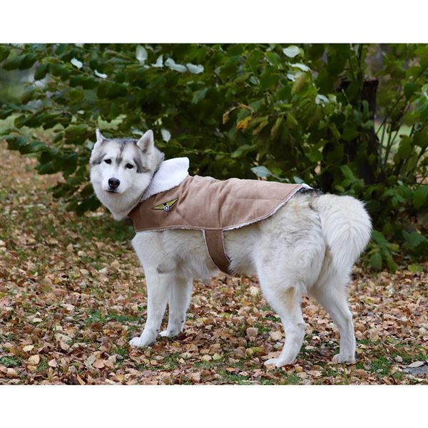 Dog Bomber Jacket, L