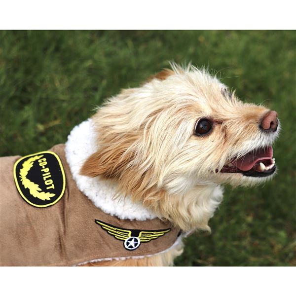 Dog Bomber Jacket, S