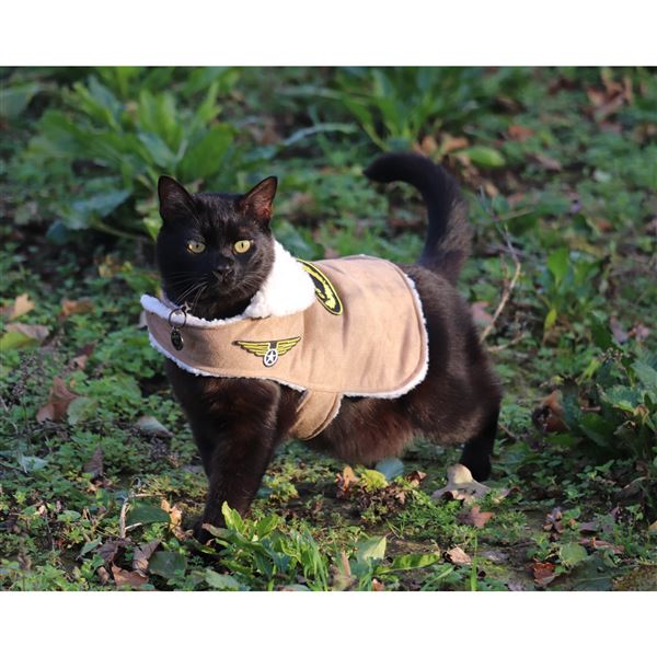 Dog Bomber Jacket, S
