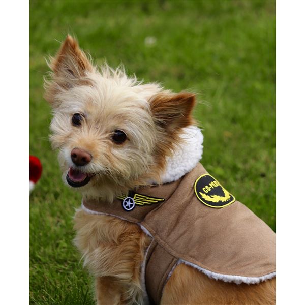 Dog Bomber Jacket, S