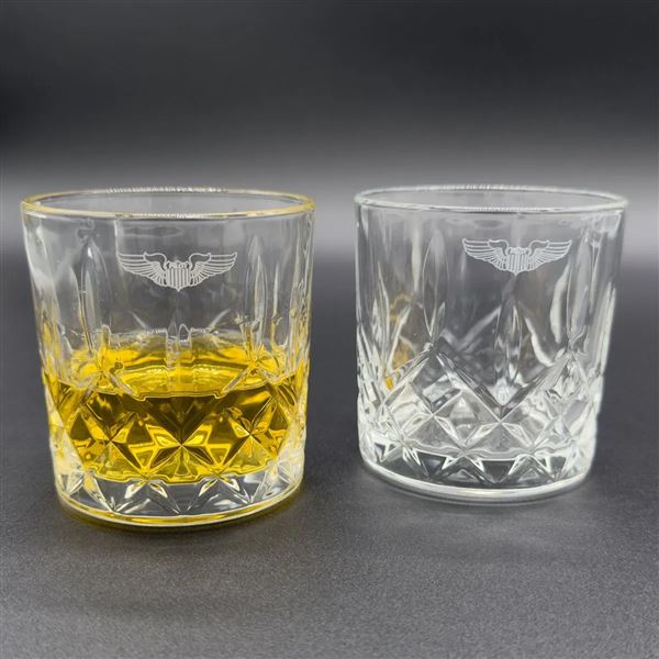 Pilot Wings Whiskey Glass Gift Set