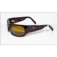 Pilot sunglasses CARUSO CR2872TP Tiger fash