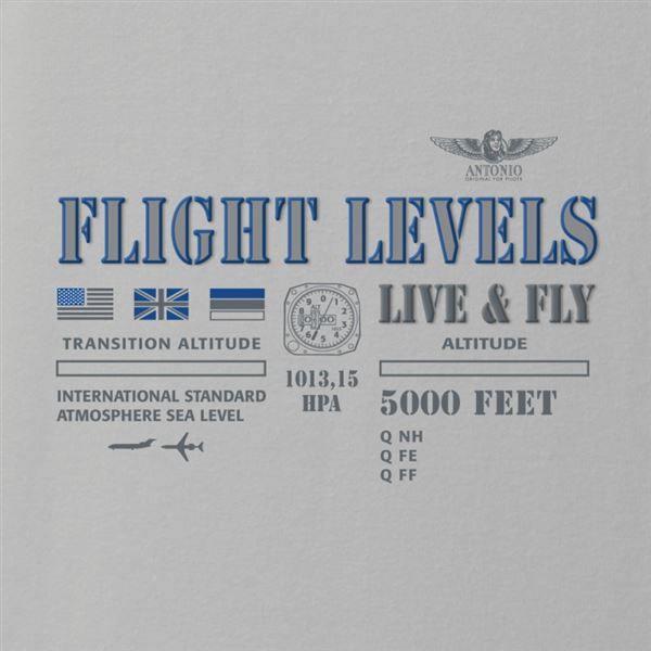 ANTONIO T-Shirt FLIGHT LEVELS, grey, M