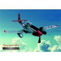 Hliníkový poster N.A. P-51 D Mustang
