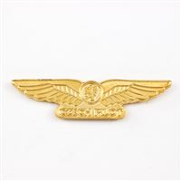 Badge wings „CZECH PILOT“ gold