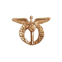 Czech Air Force Pin Badge, gold