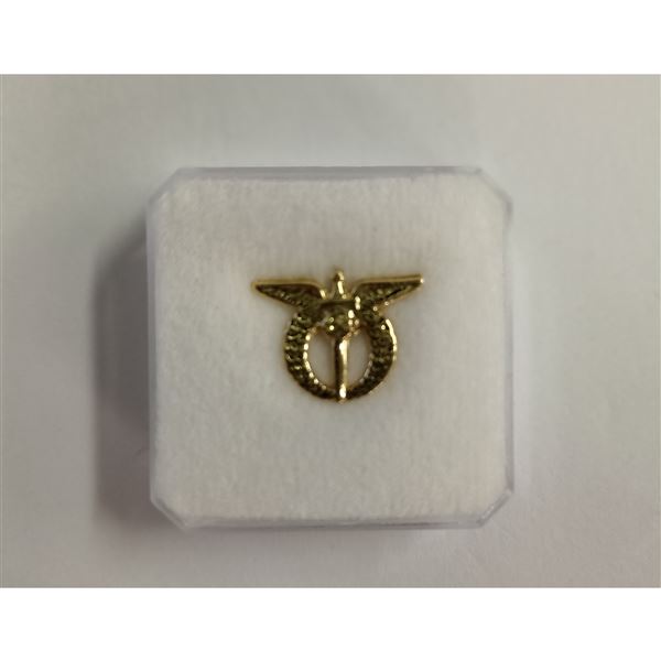 Odznak Czech Air Force, zlatý