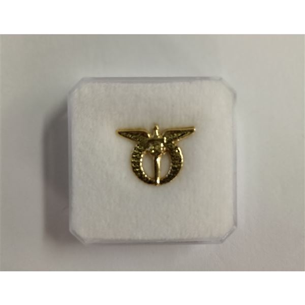 Czech Air Force Pin Badge, gold