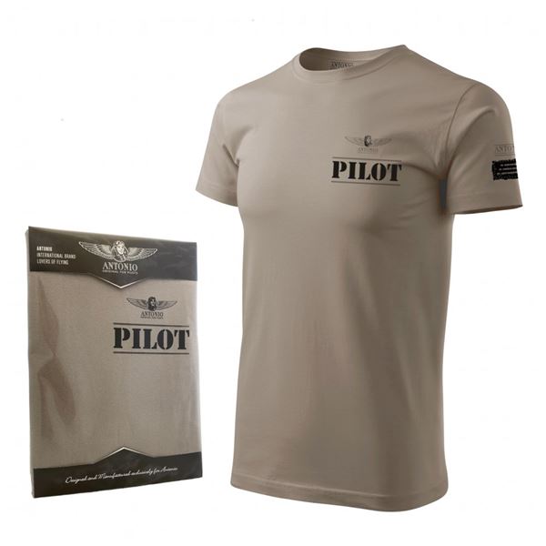 ANTONIO T-Shirt PILOT grey, M