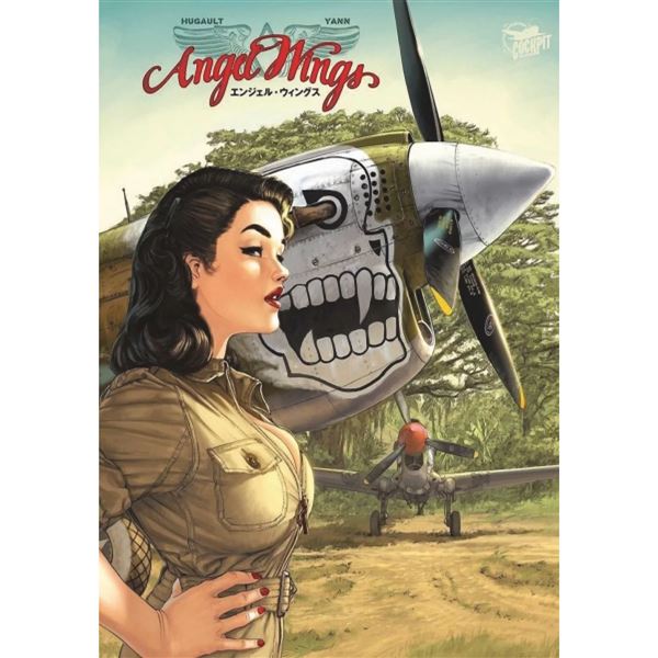 Hliníkový poster P-40 Kittyhawk