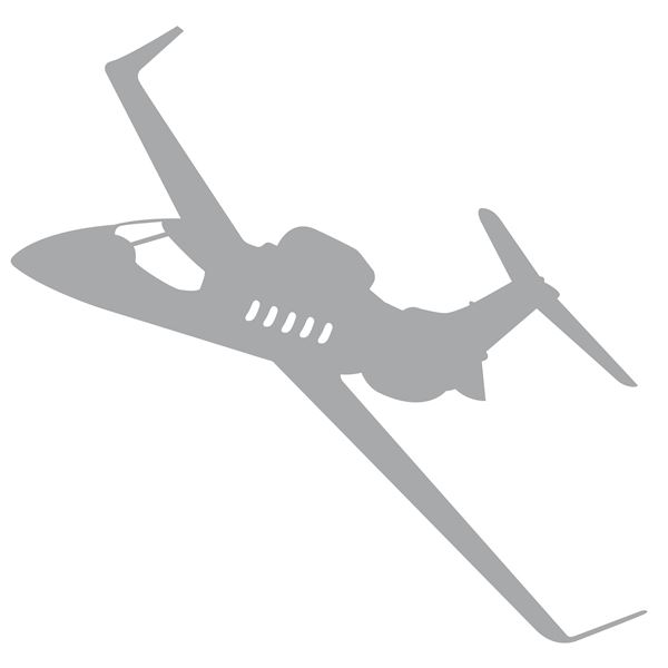 Sticker Bizjet, Large - Grey