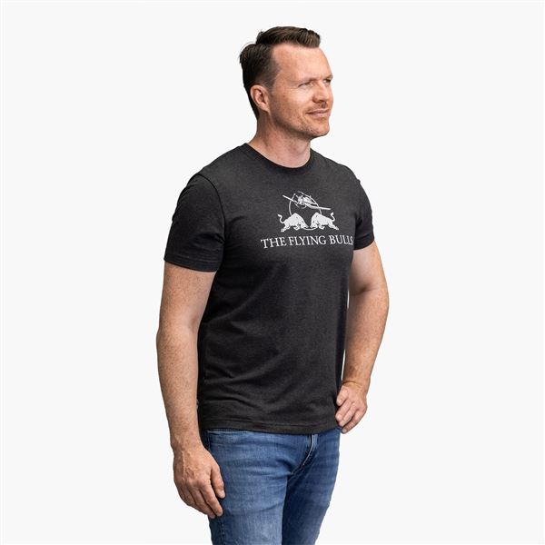 RED BULL T-Shirt Flying Bulls MONO grey, M