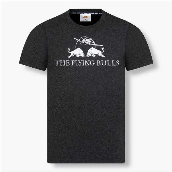 RED BULL T-Shirt Flying Bulls MONO grey, M
