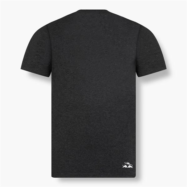 RED BULL T-Shirt Flying Bulls MONO grey, M