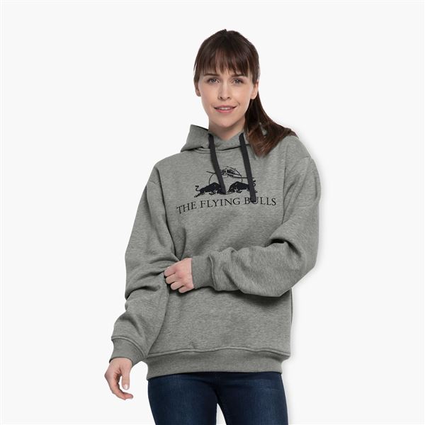 RED BULL Flying Bulls Mono Hoodie grey, M